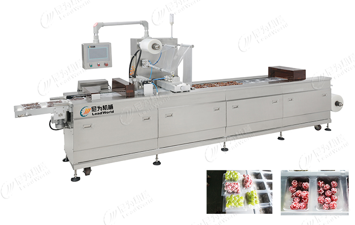 自動果脯真空包裝機(jī)